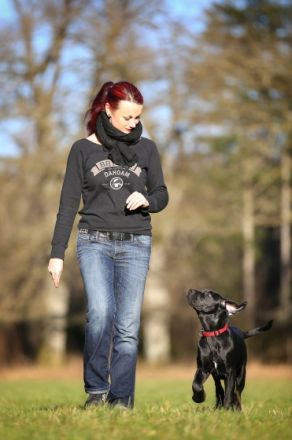 Helden an der Leine – Hundezentrum Oberbayern