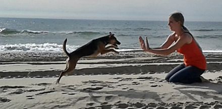 Miras Mobile Hundeschule - 6 Beine 1 Ziel