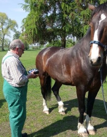 Hundephysiotherapie Kerstin & Rainer Pirzkall
