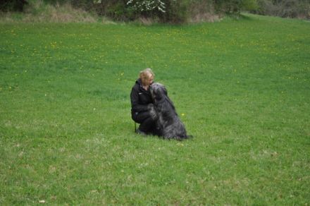 HUNDertPRO Sprachlos