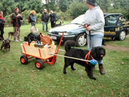 Familienhund-Akademie