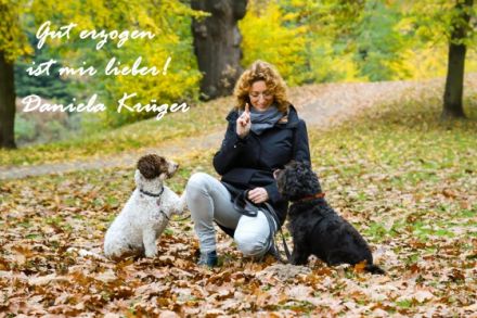 Hundetrainingszentrum Salzwedel
