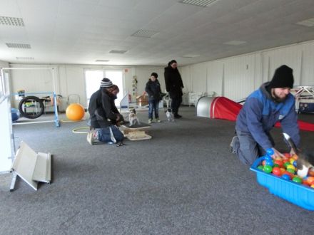 Hundetrainingszentrum Salzwedel