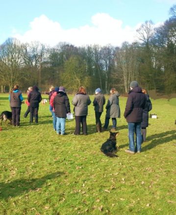 Hundeausbildung beim HST in Osnabrück