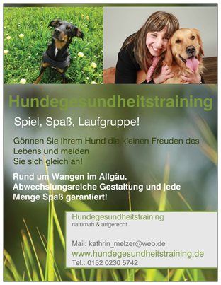 Hundegesundheitstraining