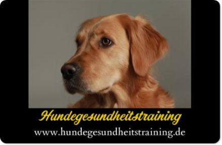 Hundegesundheitstraining