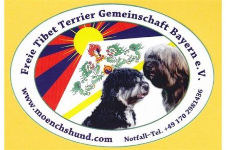 Sie möchten einen Tibet Terrier Welpen kaufen? Bei uns