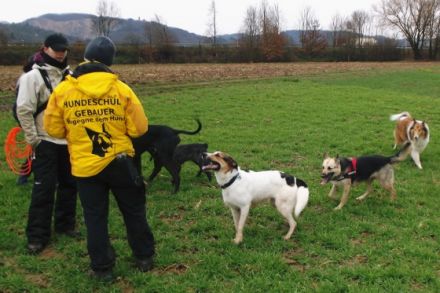 Hundeschule Gebauer