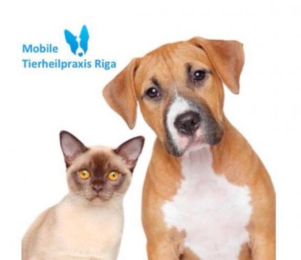 Mobile Tierheilpraxis Riga