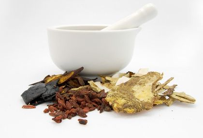 Tierheilpraktikerin Eva Schmid