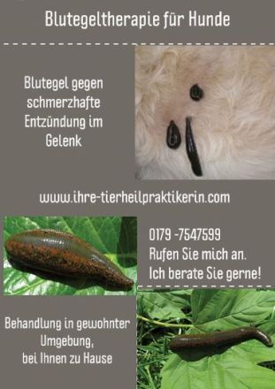 Tierheilpraktikerin Eva Schmid