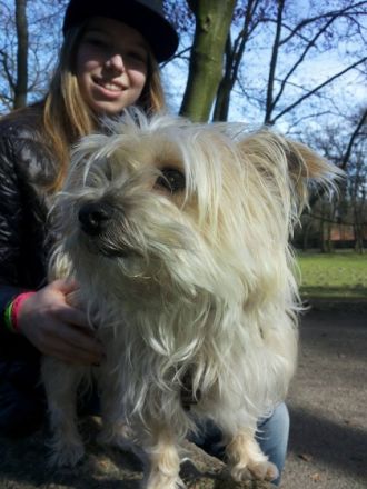 Dog Service Gütersloh