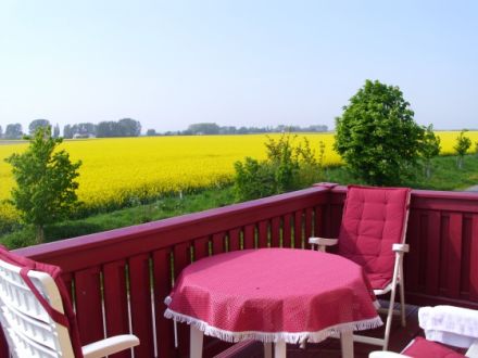 Urlaub auf Rügen? Natürlich mit Hund