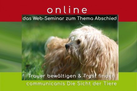 Abschied aus tierischer Sicht. Gut begleitet auf dem Weg. | online 29.08.24