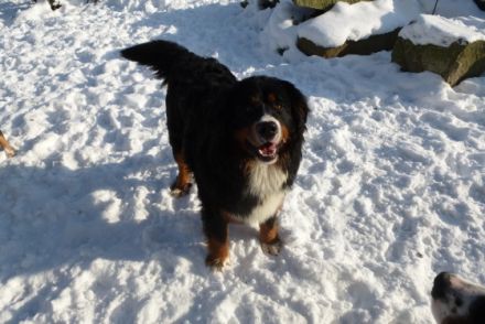 Xandl vom Edtmaiergut