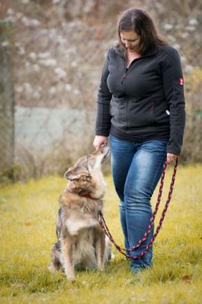 Hundeschule Fellnasen ArtGerecht