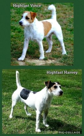 von der Blockhaus-Bande