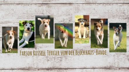 von der Blockhaus-Bande