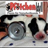 Tierbetreuung Tierheilpraxis Pfötchen Idyll