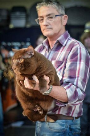 Gr.Eur.Ch. Trotzkopf vom Blauen Saphir