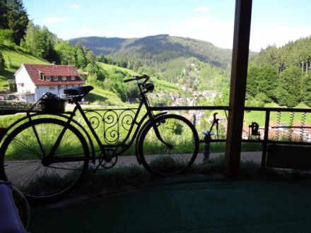 Schwarzwald Kuschelwohnung