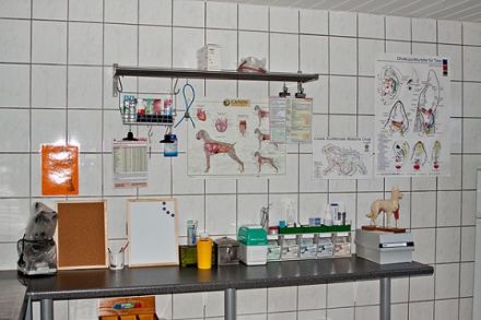 Tierheilpraxis Swanie Simon