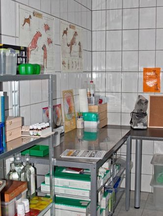 Tierheilpraxis Swanie Simon