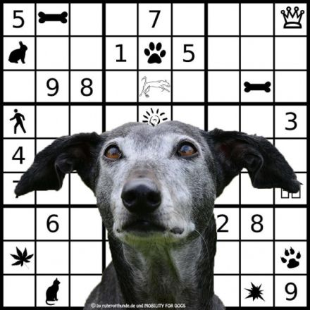 Mentales Training für den " Best Ager"