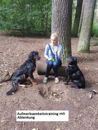 Anna's Trainingsservice