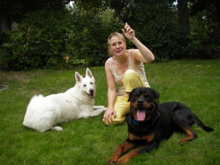 HUNDE zu LIEBE, Hundetraining Problemhundetherapie