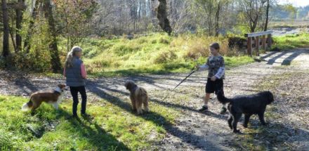 Lebensfreude Hund e.V.