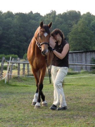 Pferdegesundheitstrainerin Stefanie Brandt