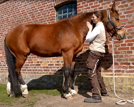 Pferdegesundheitstrainerin Stefanie Brandt