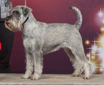 von der Wallauer Mühle