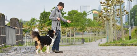 Beziehungskiste Mensch-Hund