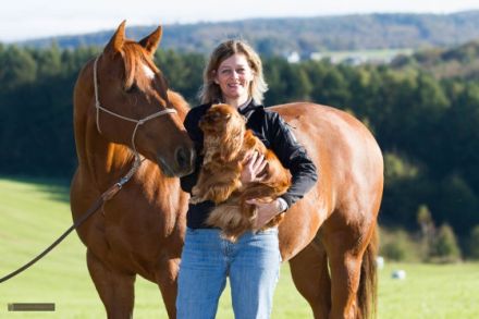 mobile Tierheilpraxis für Hunde, Pferde,Katzen