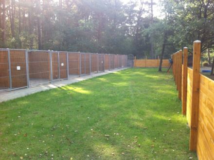 Hunde und Katzenpension Ehlershausen