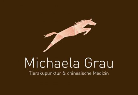 'Holistic Therapy' Akupunktur Blutegeltgerapie Manuelle Therapie