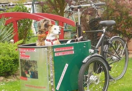 Hundepension privat in Köln Vogelsang