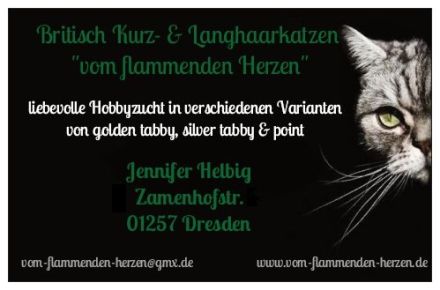 vom flammenden Herzen