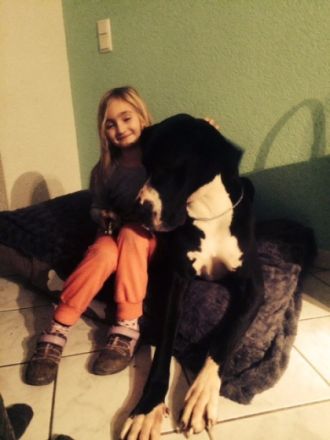 von den Bischofsbäumen