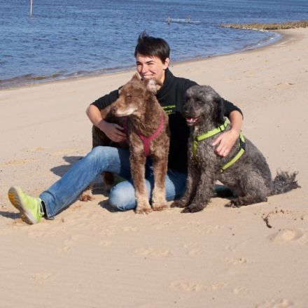 Weser-Hunde: Training für Hunde m Jagdleidenschaft