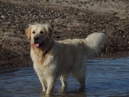 Hieronymus from Ivy´s Paradise