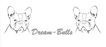 von Dream-Bulls
