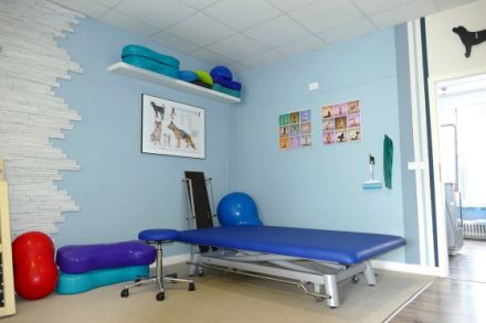 VitaSana - Praxis für Tierphysiotherapie und Naturheilverfahren