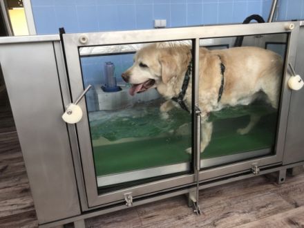 VitaSana - Praxis für Tierphysiotherapie und Naturheilverfahren