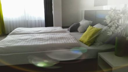 Aparthotel zum Löwen