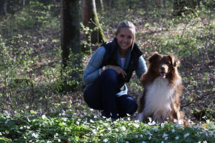 Hundeschule Leinen Los