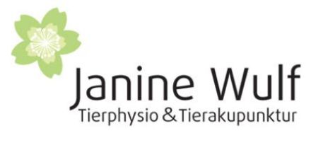 Tierwohl - Physiotherapie für Hunde