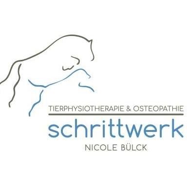 schrittwerk Tierphysiotherapie & Tierosteopathie, Sporthundetherapie